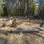 Outdoor playground equipment Gobi in a forest setting.