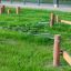 Outdoor play equipment Gobi on a green lawn.