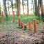 Wooden outdoor playground equipment Cape Code in a forest setting.