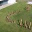 Outdoor play area with 'Cape Code' balance beams and stepping logs.