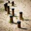 Wooden stepping posts for playground recreation in the Madagascar (5 pcs set).
