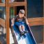Boy sliding down a slide on the Country House Nature playground.