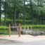 Hammock installation in a forest playground.