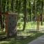 Wooden climbing box playhouse in a forest park.