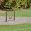 Swing seat: Flexi seat in a park setting with wooden posts.