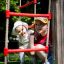 Children playing on Six angle single slide with red and white climbing ropes