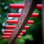 Six angle single slide playground climbing structure with red handles