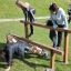 Children playing on Double Jump Bars at a park