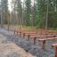 Outdoor obstacle course Hip Hop in a forest setting.
