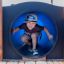 Child playing in Majestic ship with slide.