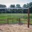 Nature Swing Frame (double swing) in a playground area.