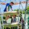 Children playing on Andromeda steel structure in playground.
