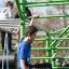 Children playing on New Age Fit MEDIUM outdoor fitness equipment.