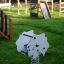 Sheep rocking in a playground on green grass with play structures in the background.