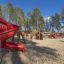 Children's playground with gigantic castle and red slide amid tall trees
