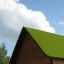Wooden house with grass roof - Nature Playhouse Grass Roof.