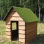 Nature Playhouse Grass Roof wooden house in a grassy yard with trees in the background.