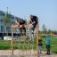 Children playing on a V-shape Net wooden playhouse.