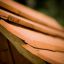 Wooden roof of Nature Playhouse.
