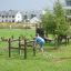 Children playing on Trapezoidal climbing structure in a park.