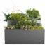 Chicago Flowerpot with lush green plants