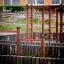 Somersault Triple - wooden playground structure with red bars for children