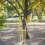Outdoor Cross Trainer in a park setting.
