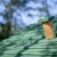 Green roof of Nill's Playhouse with a wooden chimney against a blurred natural background.